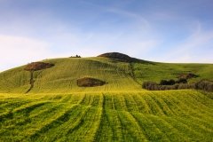 Sicily countryside